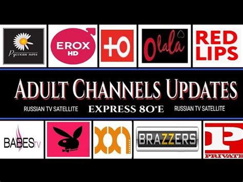 xxxhamstwr|Best Porn Channels: Sex Video Producers & Creators 